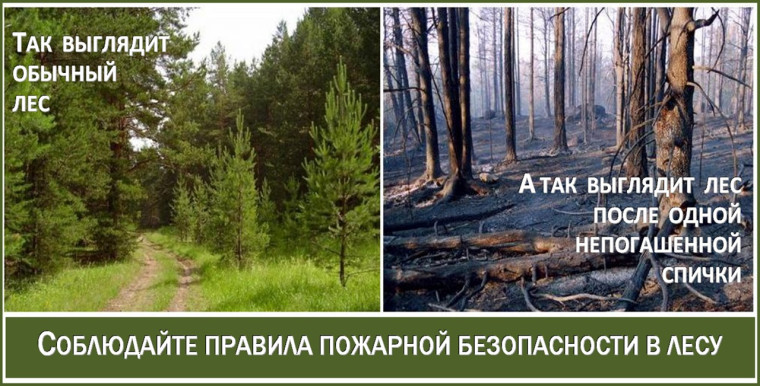 Внимание!. Внимание!.